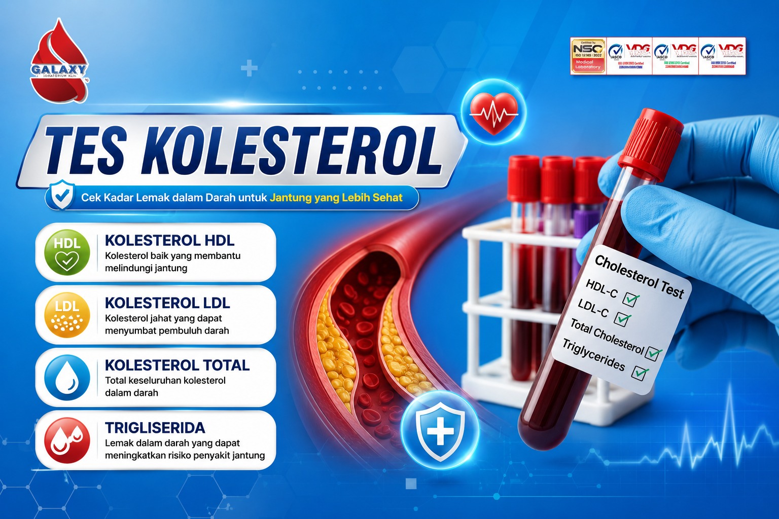 TES KOLESTEROL