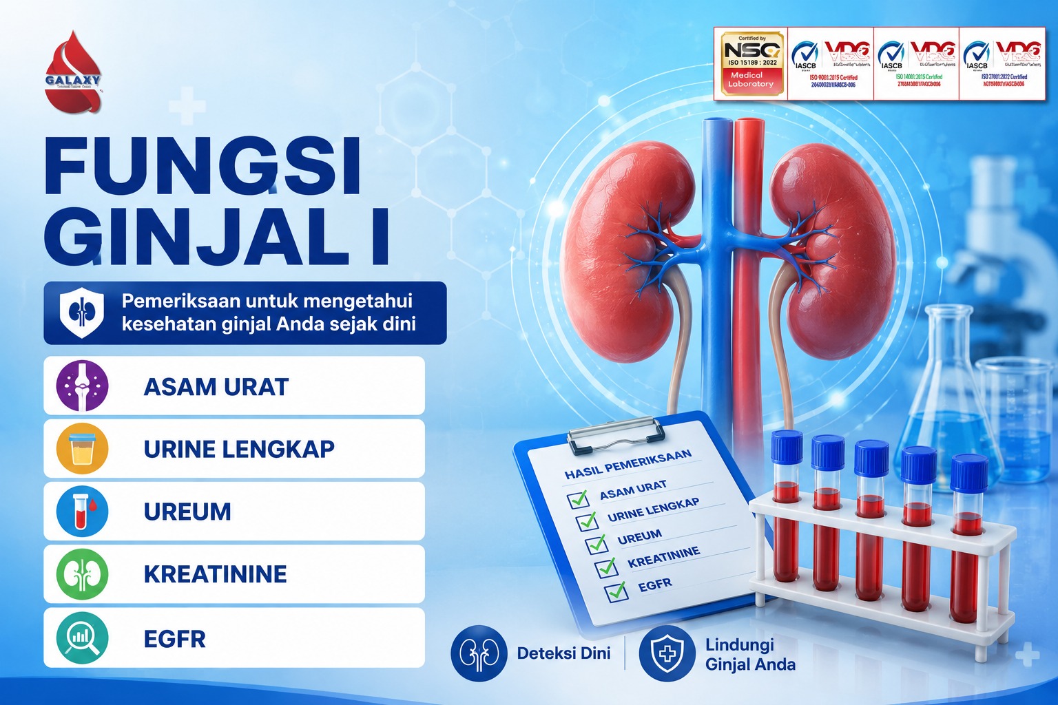 MCU FUNGSI GINJAL I