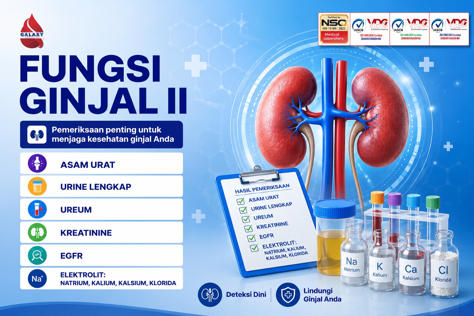 MCU FUNGSI GINJAL II